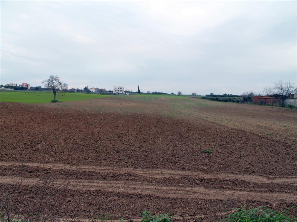 Земля в Салониках, Греция, 26 607 м² - фото 4