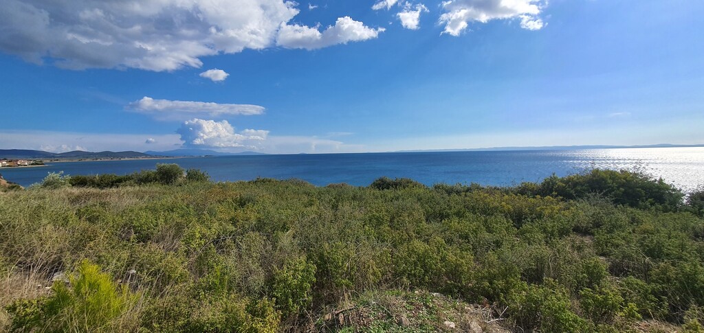 Земля в Ситонии, Греция, 4 913 м² - фото 4