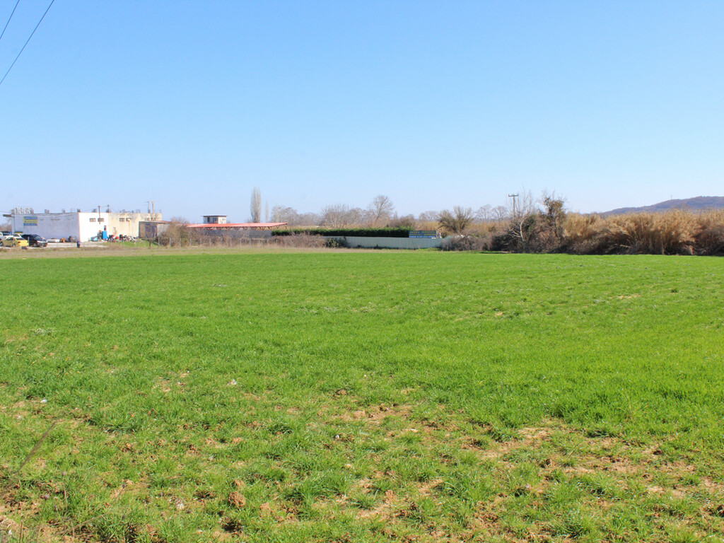 Земля в Олимпиаки-Акти, Греция, 6 800 м² - фото 4