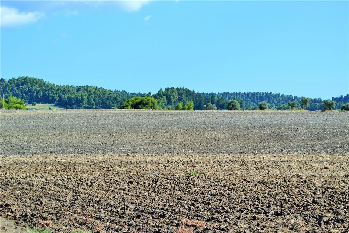 Земля на Кассандре, Греция, 13 000 м² - фото 4