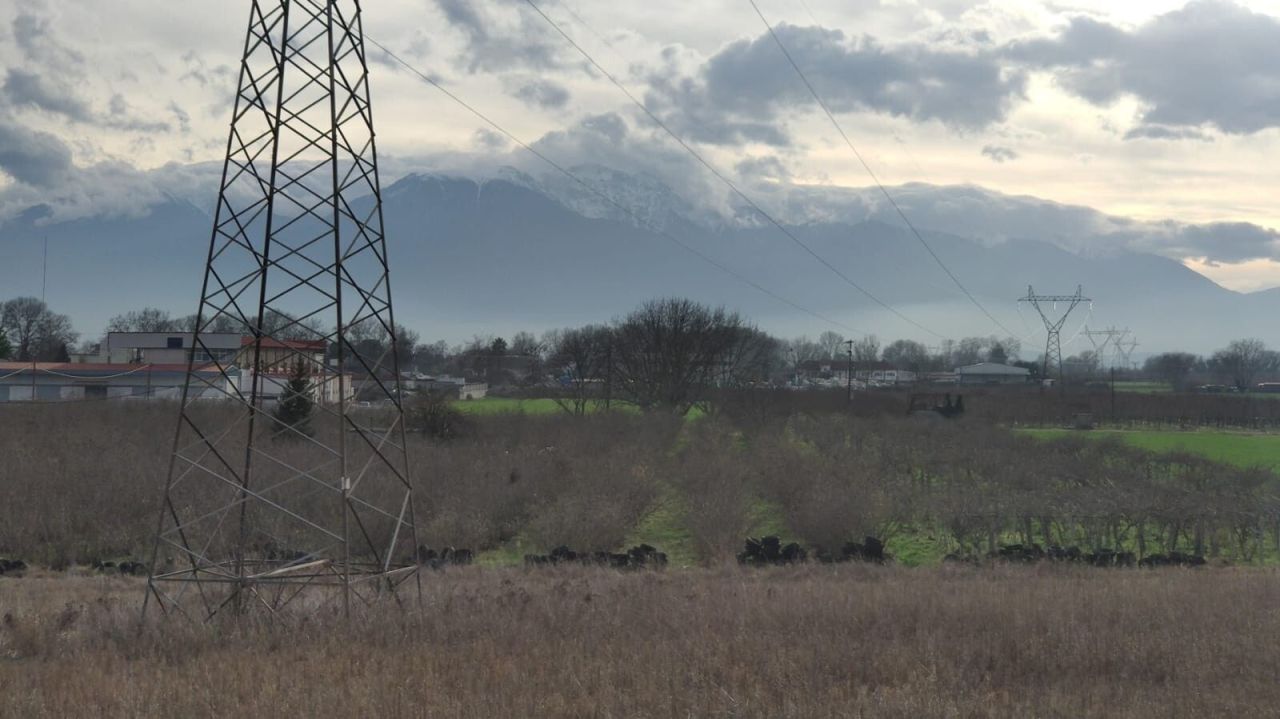 Дом в Олимпиаки-Акти, Греция, 156 м² - фото 4