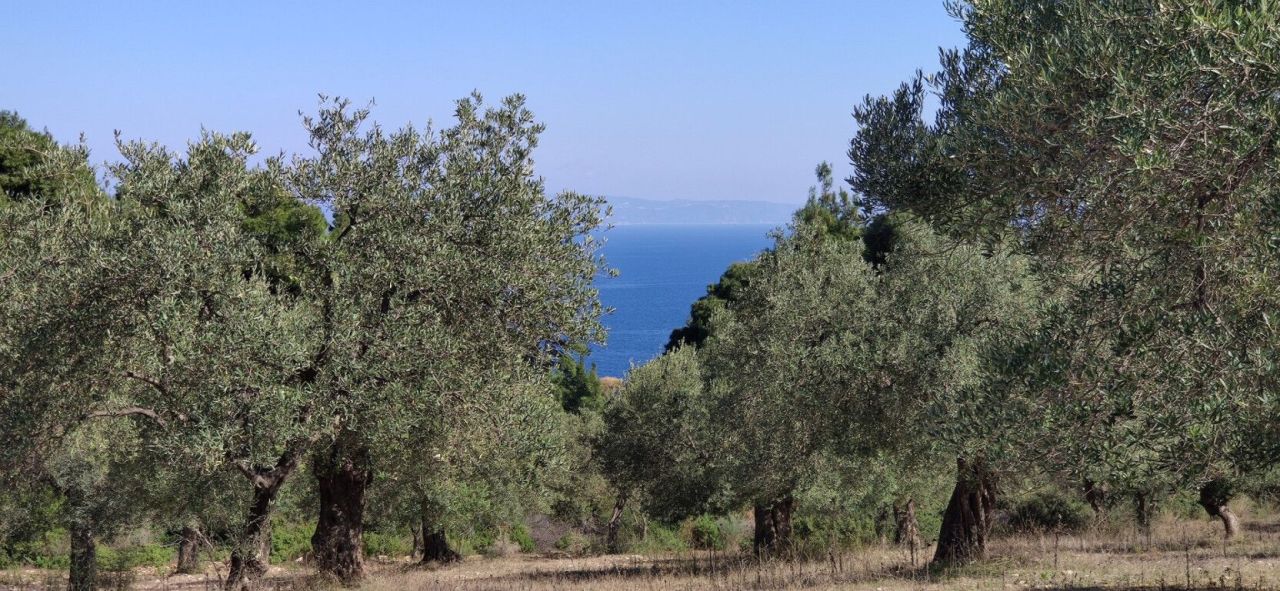 Земля в Ситонии, Греция, 9 000 м² - фото 4