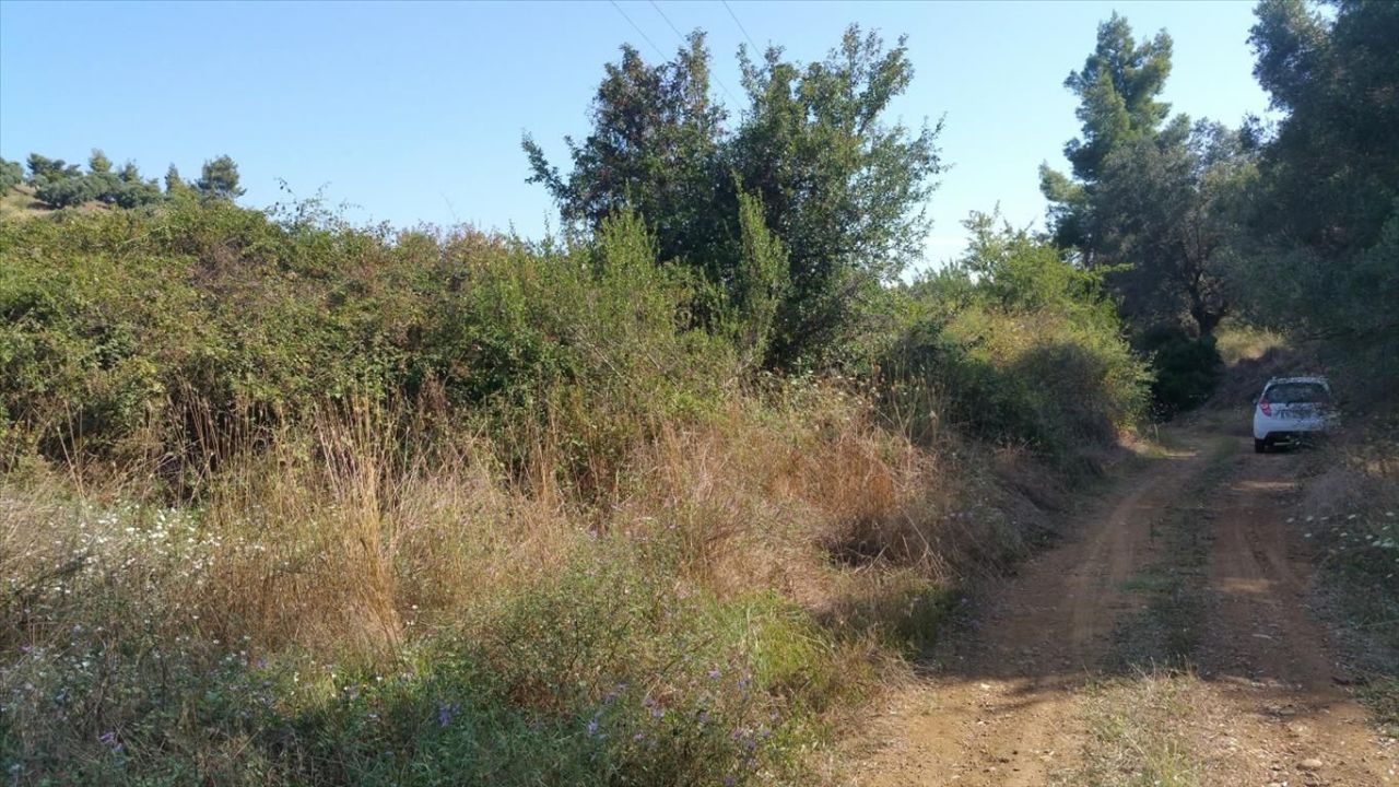 Земля на Кассандре, Греция, 9 000 м² - фото 4