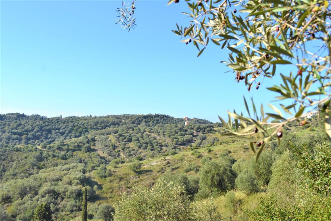 Земля на Корфу, Греция, 8 841 м² - фото 4