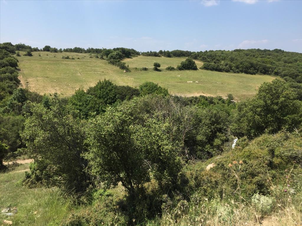 Земля в Салониках, Греция, 12 100 м² - фото 5