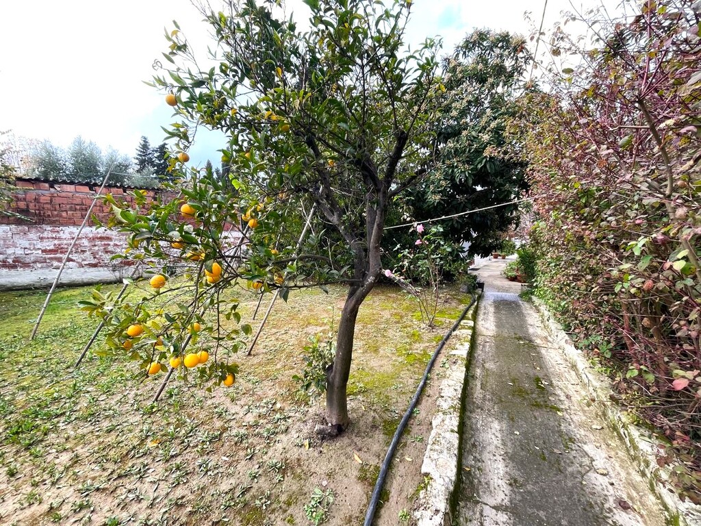 Дом на Корфу, Греция, 69 м² - фото 5