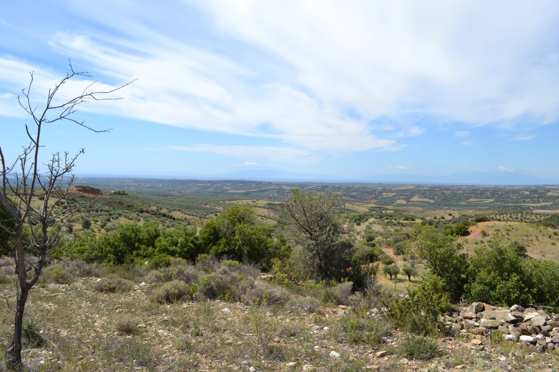 Земля на Халкидиках, Греция, 20 000 м² - фото 5