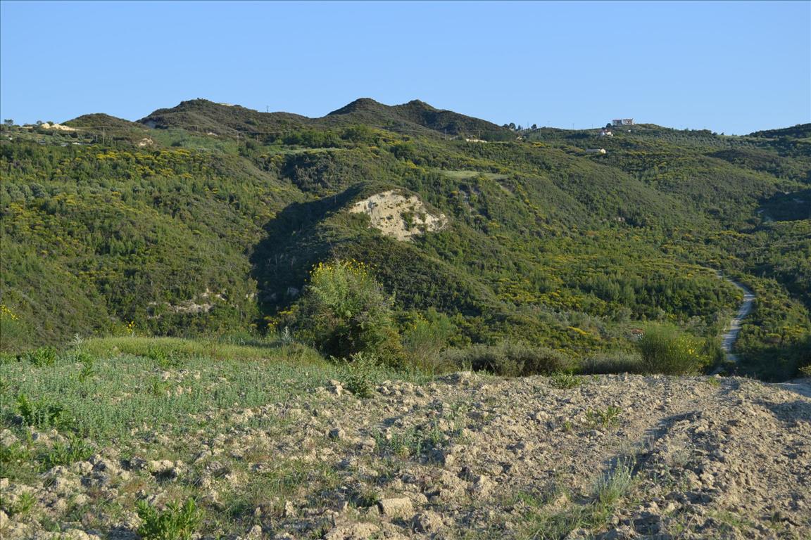 Земля на Кассандре, Греция, 15 400 м² - фото 5