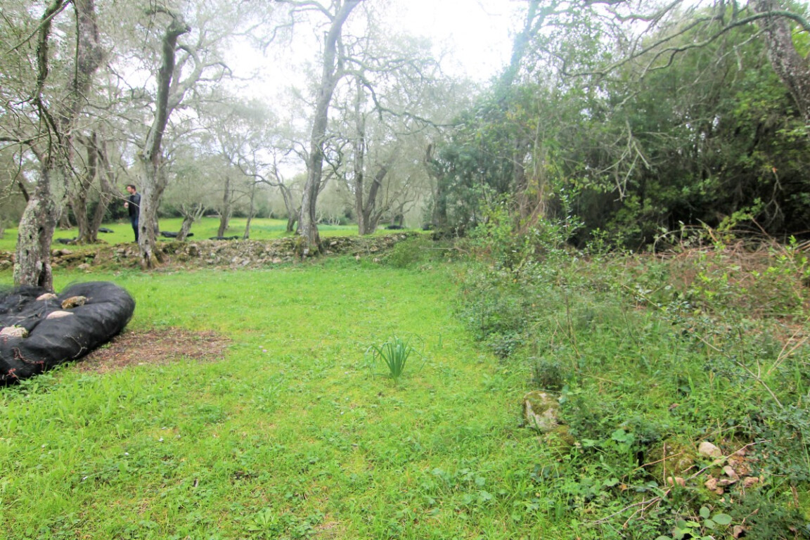 Земля на Корфу, Греция, 4 216 м² - фото 5