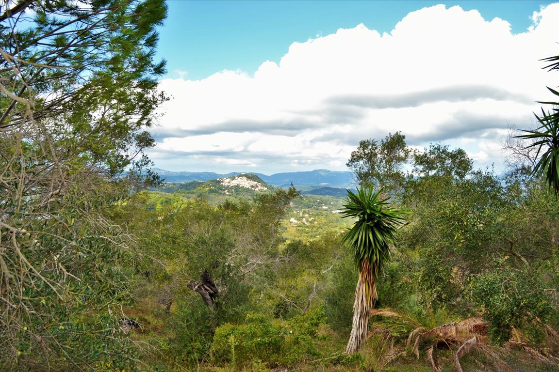 Земля на Корфу, Греция, 4 673 м² - фото 5