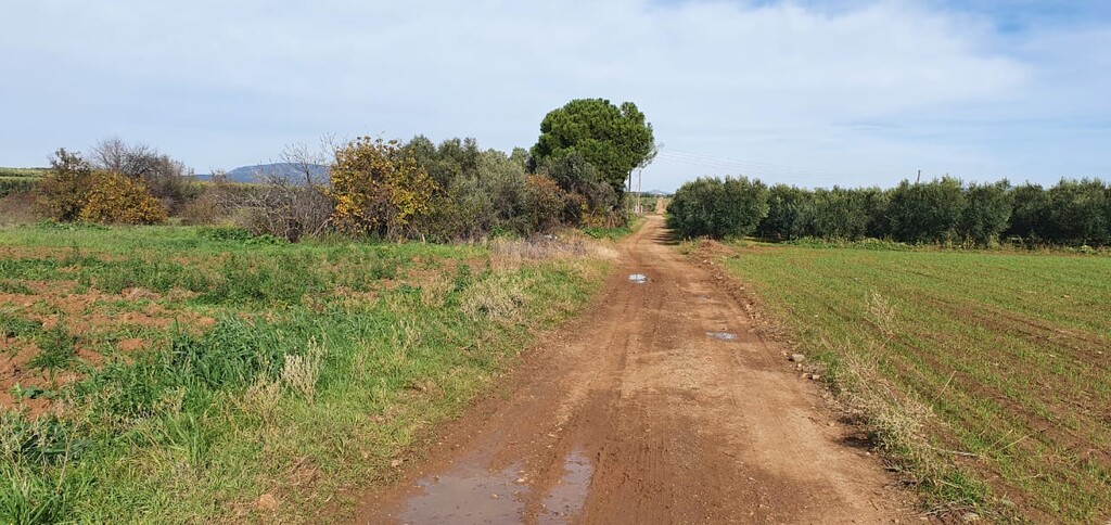 Земля на Халкидиках, Греция, 10 000 м² - фото 5