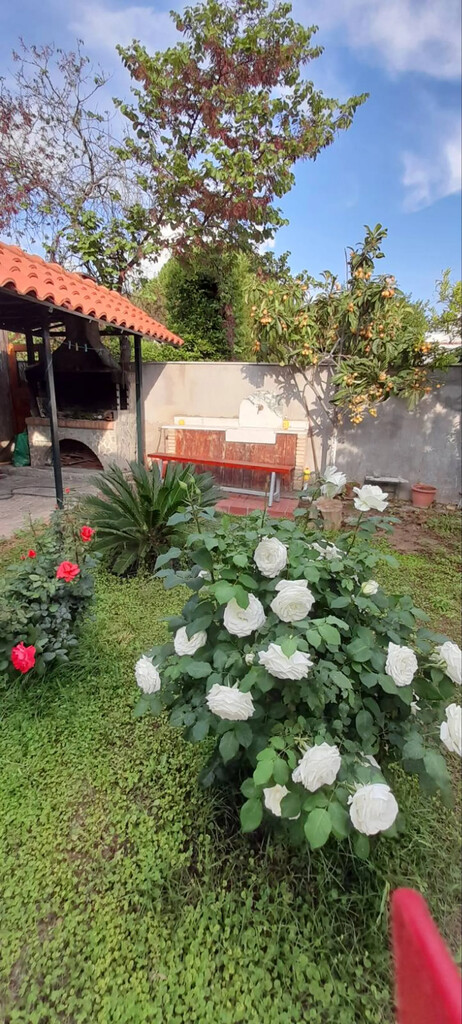 Дом в Аттике, Греция, 130 м² - фото 5