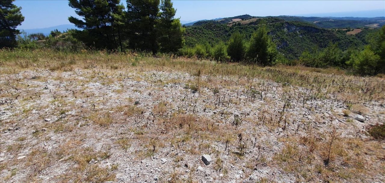 Земля на Кассандре, Греция, 15 000 м² - фото 5