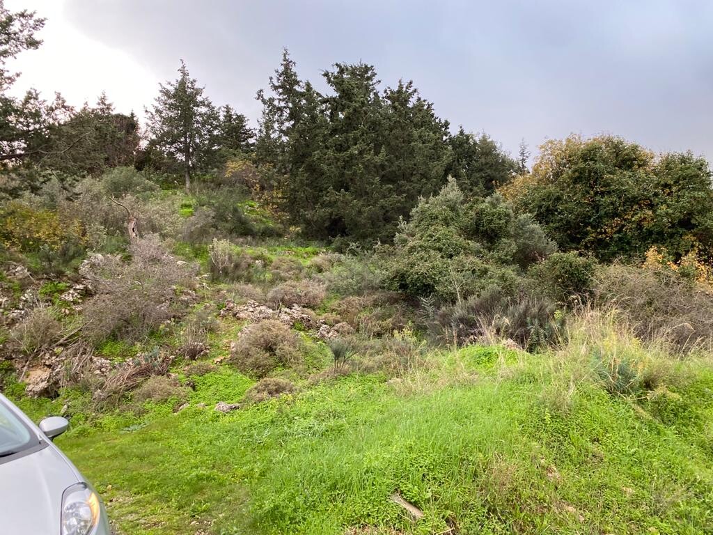 Земля в Ираклионе, Греция, 8 000 м² - фото 5