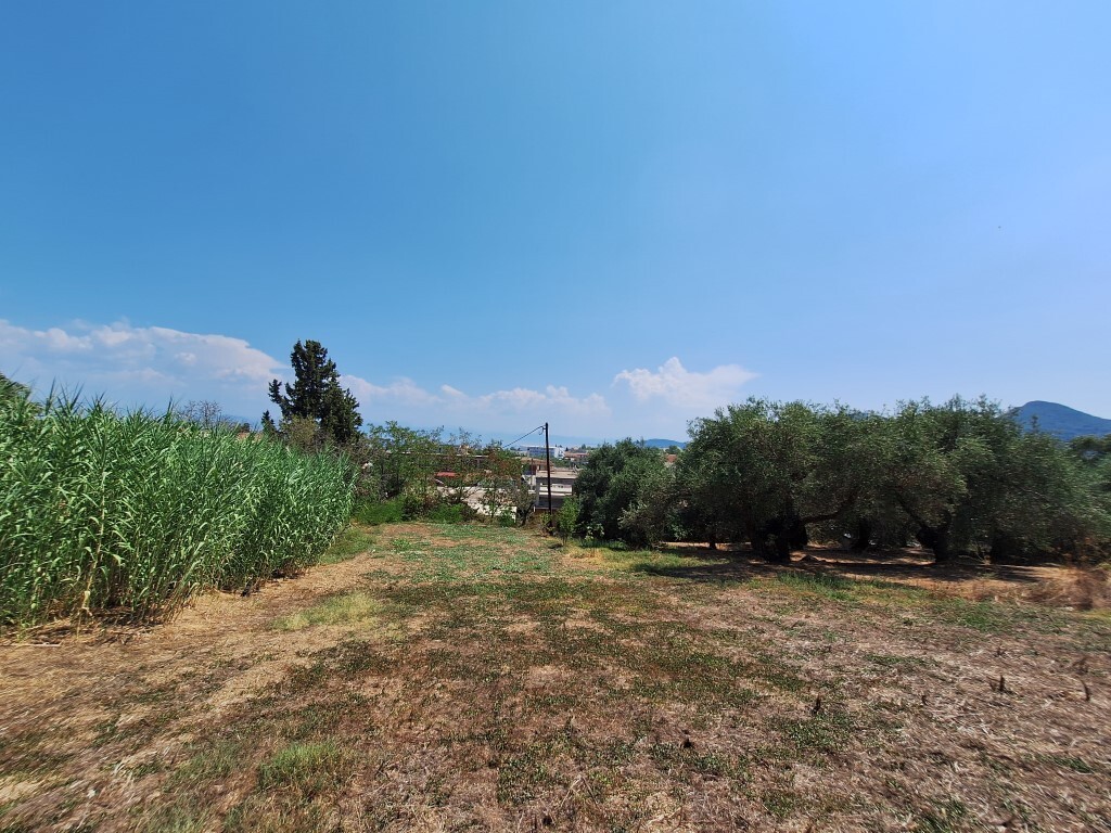 Земля на Корфу, Греция, 12 000 м² - фото 5