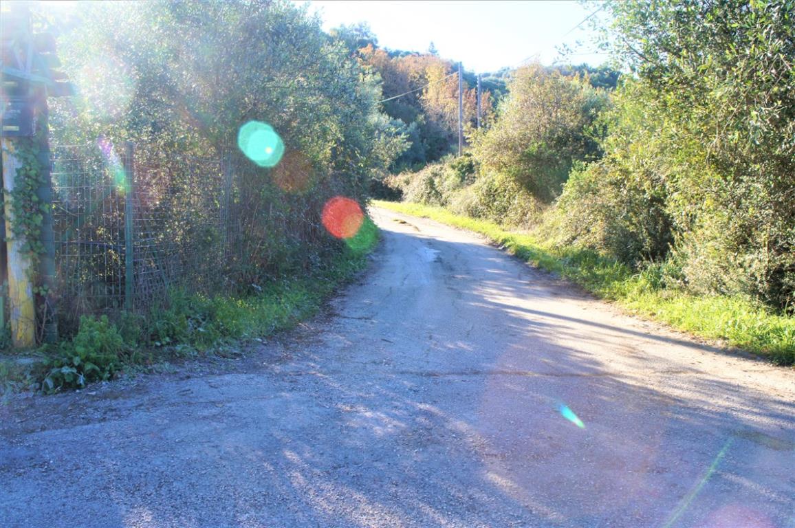 Земля на Корфу, Греция, 4 000 м² - фото 5