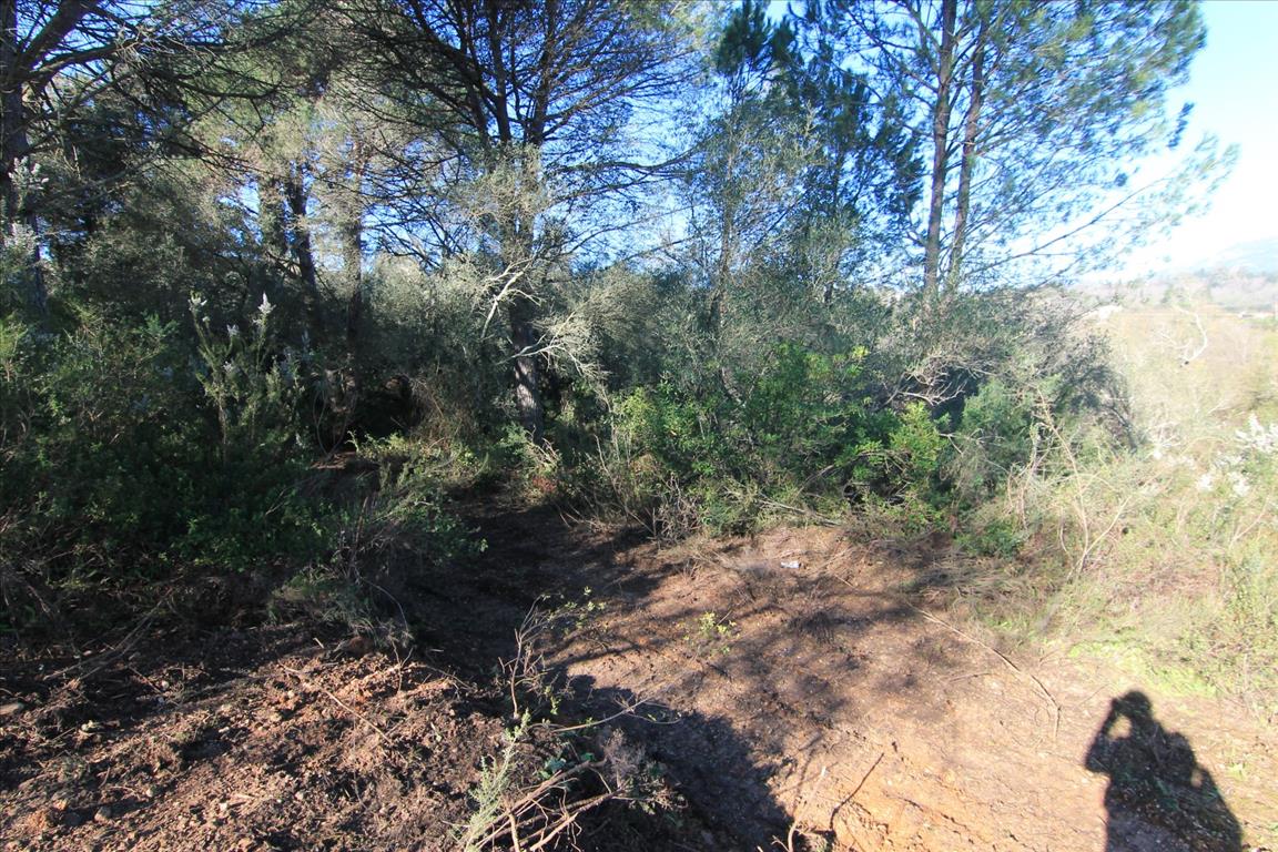 Земля на Корфу, Греция, 11 017 м² - фото 5