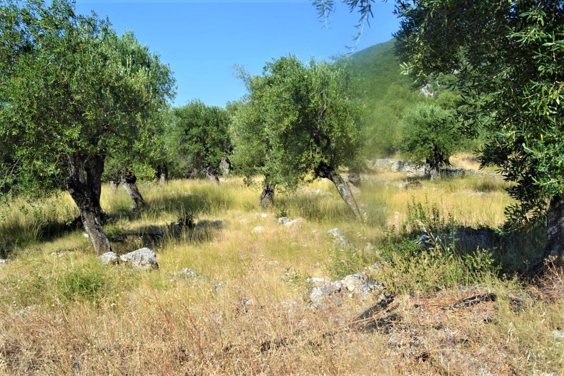 Земля на Корфу, Греция, 5 000 м² - фото 5
