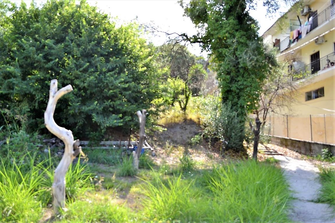 Дом на Корфу, Греция, 150 м² - фото 5