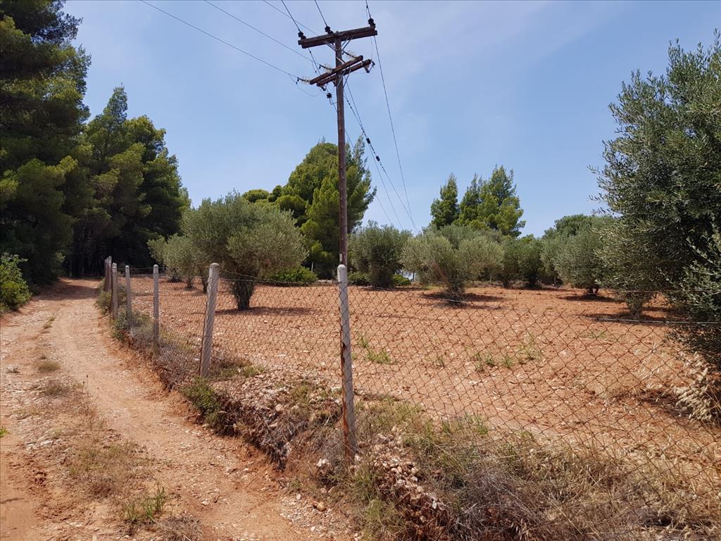 Земля в Ситонии, Греция, 5 078 м² - фото 5