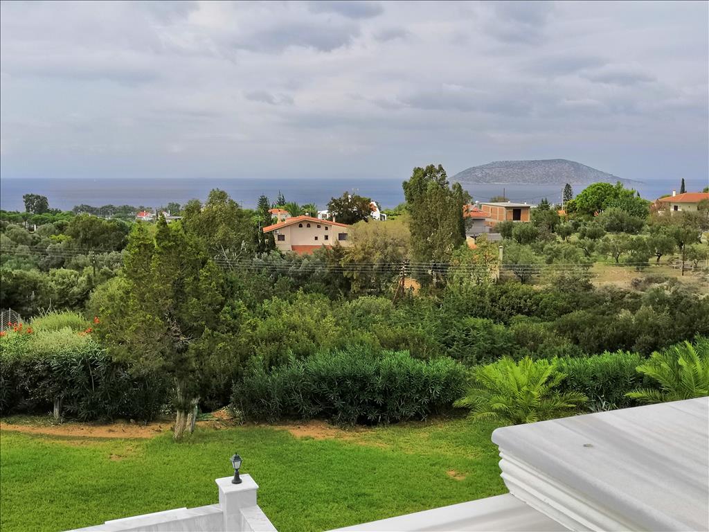 Вилла в Аттике, Греция, 520 м² - фото 5