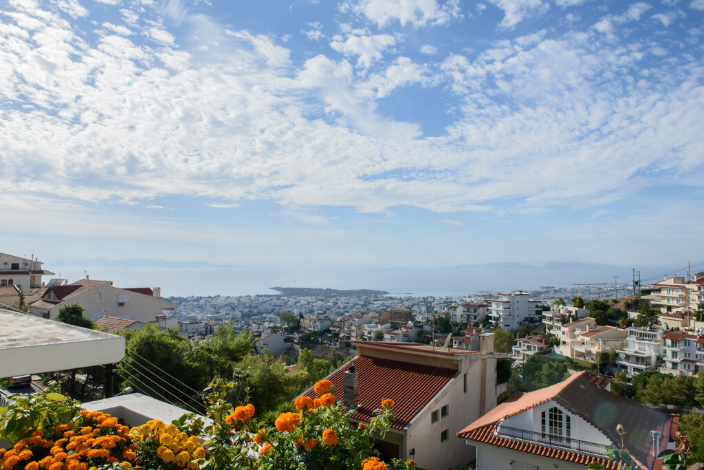 Дом в Афинах, Греция, 483 м² - фото 5