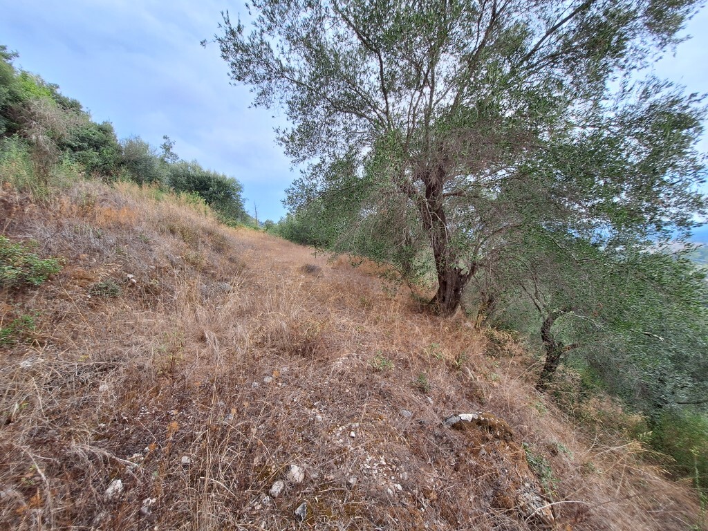 Земля на Корфу, Греция, 13 000 м² - фото 5