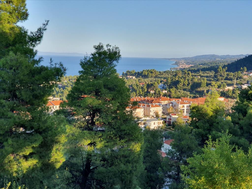 Дом на Кассандре, Греция, 120 м² - фото 5