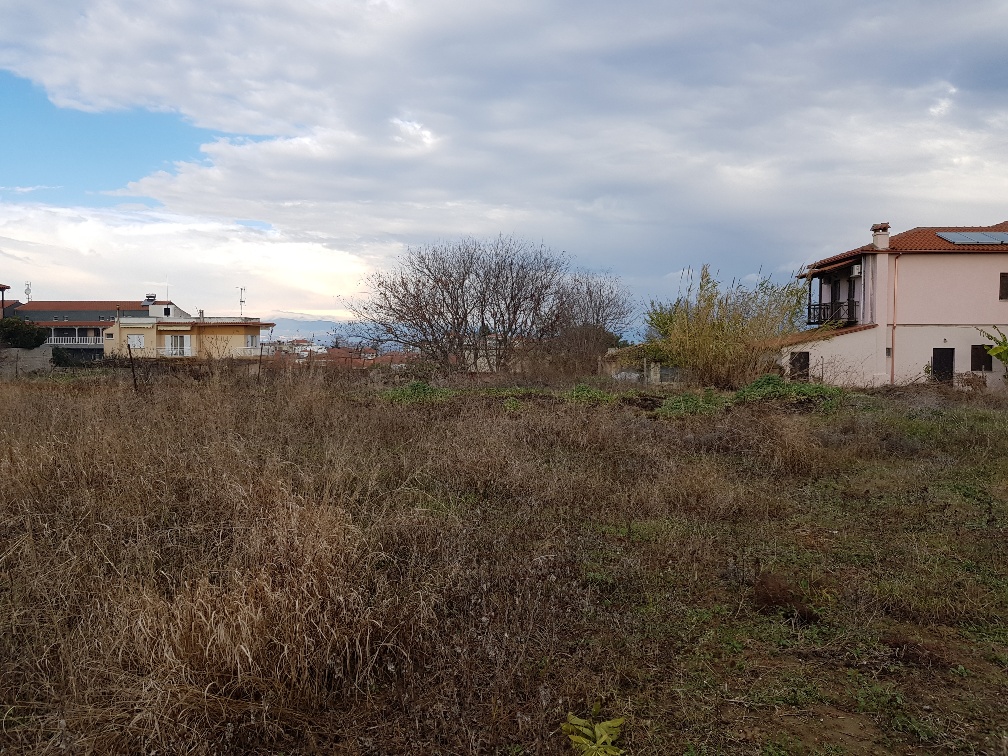 Земля на Кассандре, Греция, 460 м² - фото 5