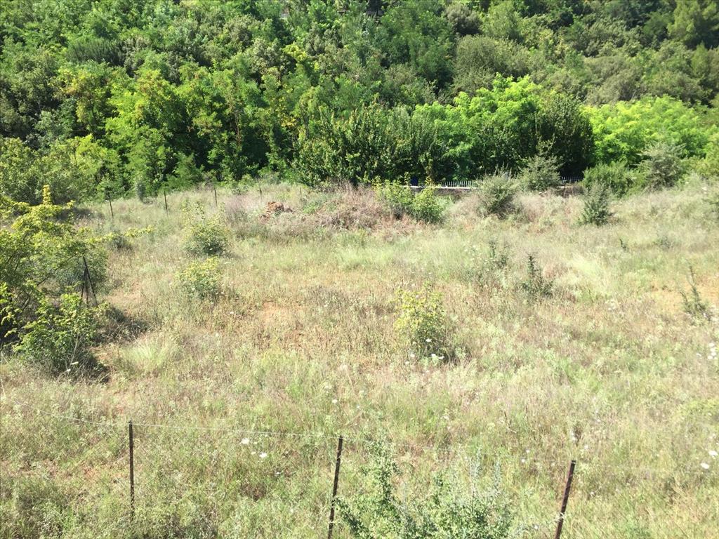 Земля в Салониках, Греция, 2 500 м² - фото 5