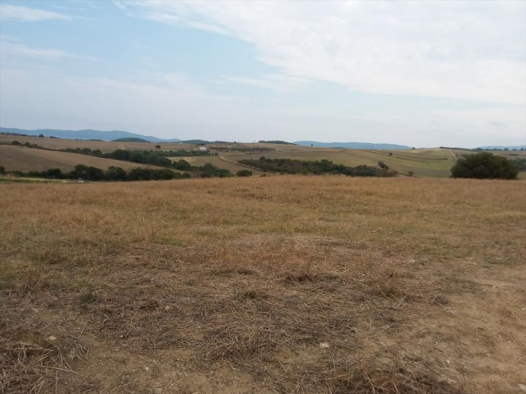 Земля на Халкидиках, Греция, 13 000 м² - фото 5