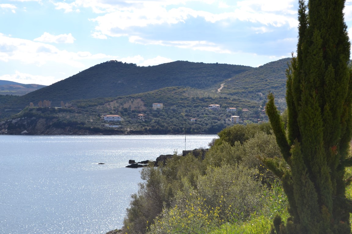 Земля на Халкидиках, Греция, 15 000 м² - фото 5