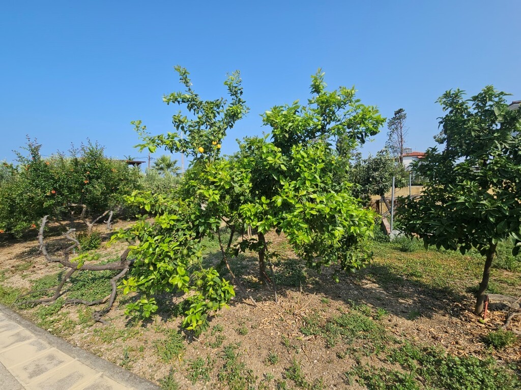 Вилла на Кассандре, Греция, 288 м² - фото 5