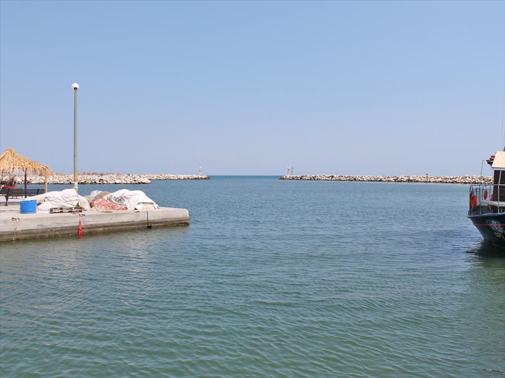 Земля в Олимпиаки-Акти, Греция, 450 м² - фото 5