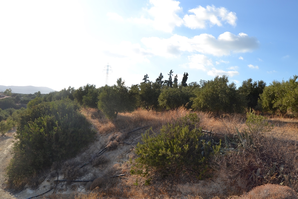 Земля в Ираклионе, Греция, 25 000 м² - фото 5