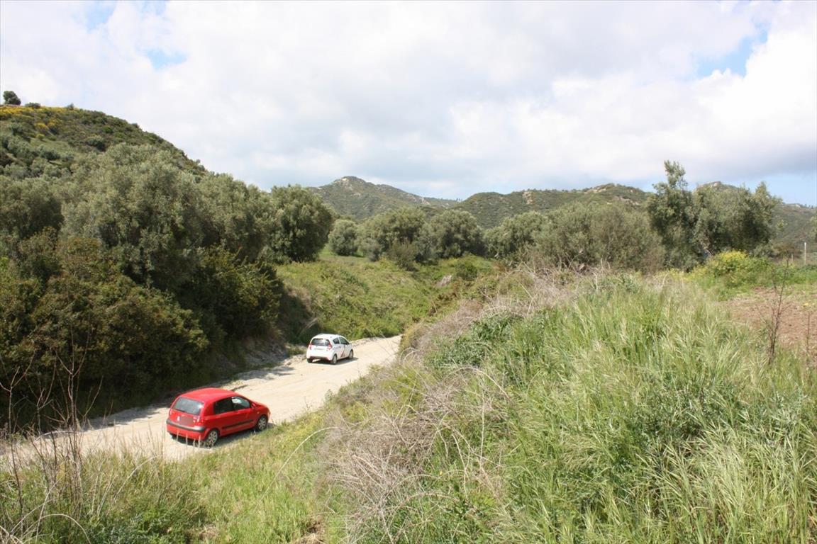 Земля на Кассандре, Греция, 4 700 м² - фото 5