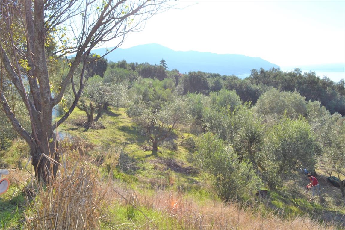 Земля на Корфу, Греция, 8 841 м² - фото 5