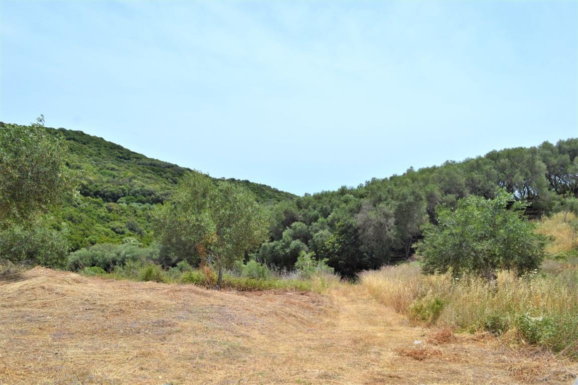 Земля на Корфу, Греция, 12 000 м² - фото 5