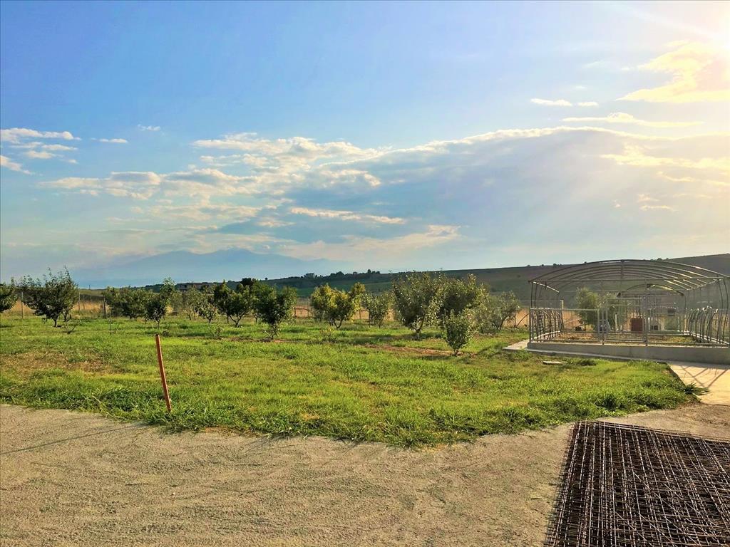 Дом в Салониках, Греция, 410 м² - фото 5