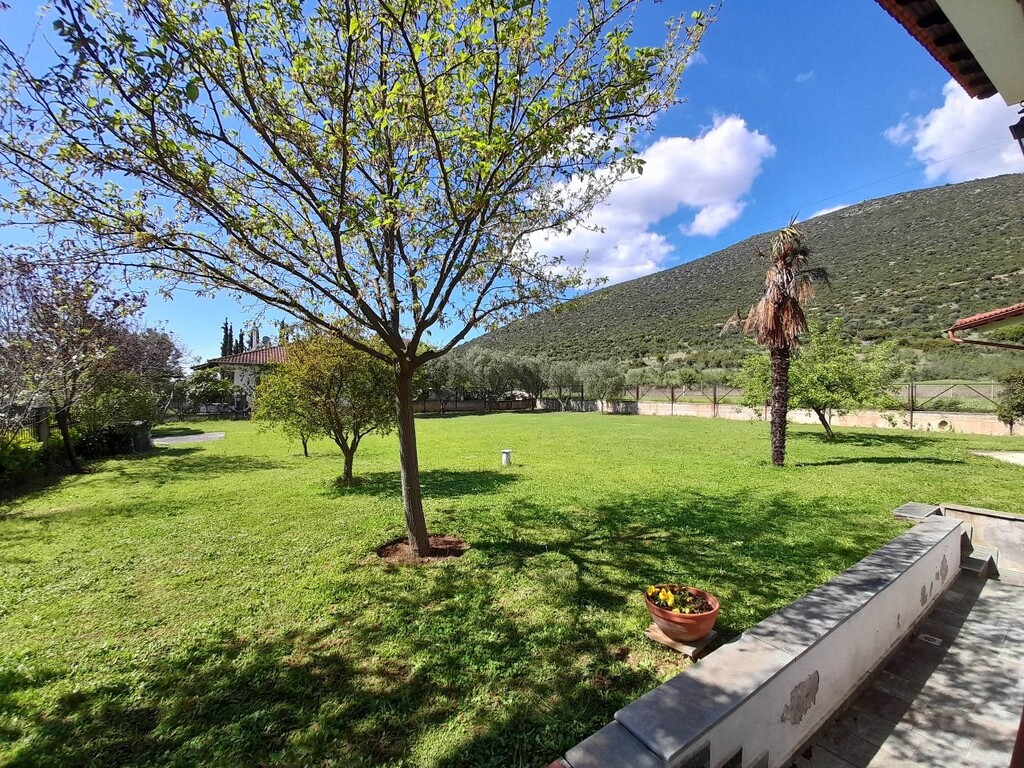 Дом на Халкидиках, Греция, 180 м² - фото 5