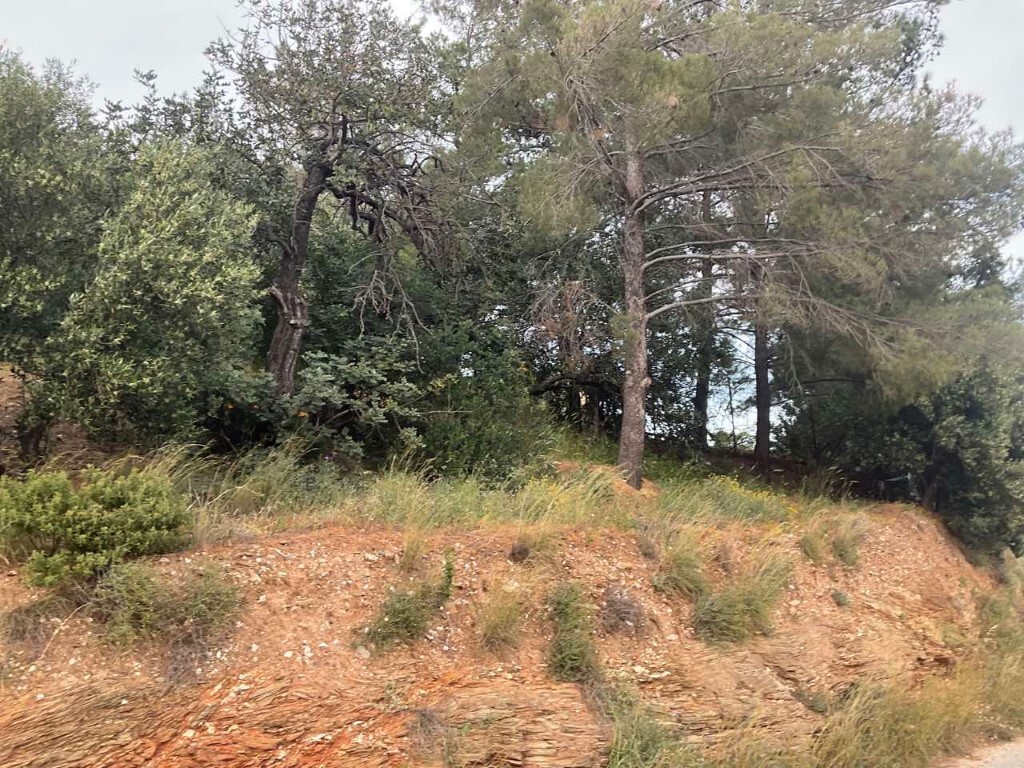 Земля в Ираклионе, Греция, 3 750 м² - фото 5