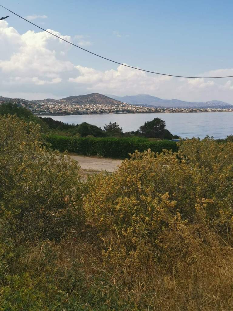 Земля в Аттике, Греция, 900 м² - фото 5