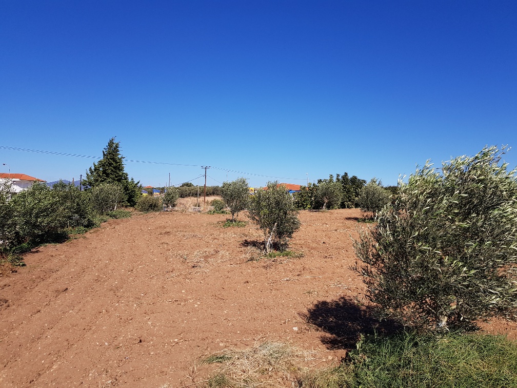 Земля на Халкидиках, Греция, 5 500 м² - фото 5