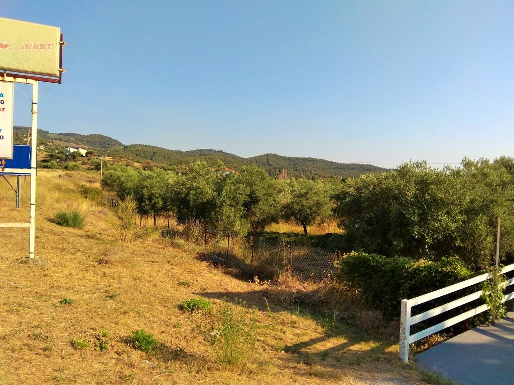 Земля в Ситонии, Греция, 7 000 м² - фото 5