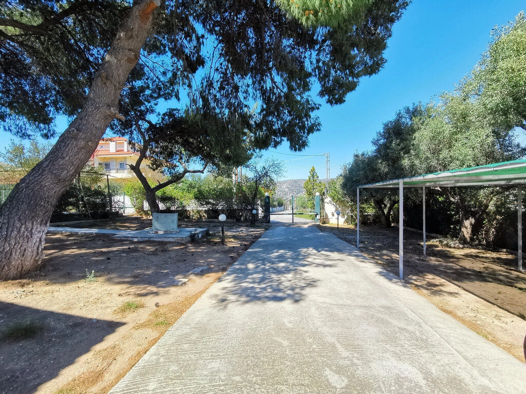 Дом в Аттике, Греция, 520 м² - фото 5