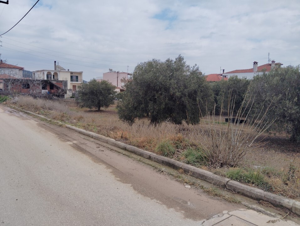 Земля в Ситонии, Греция, 1 305 м² - фото 5