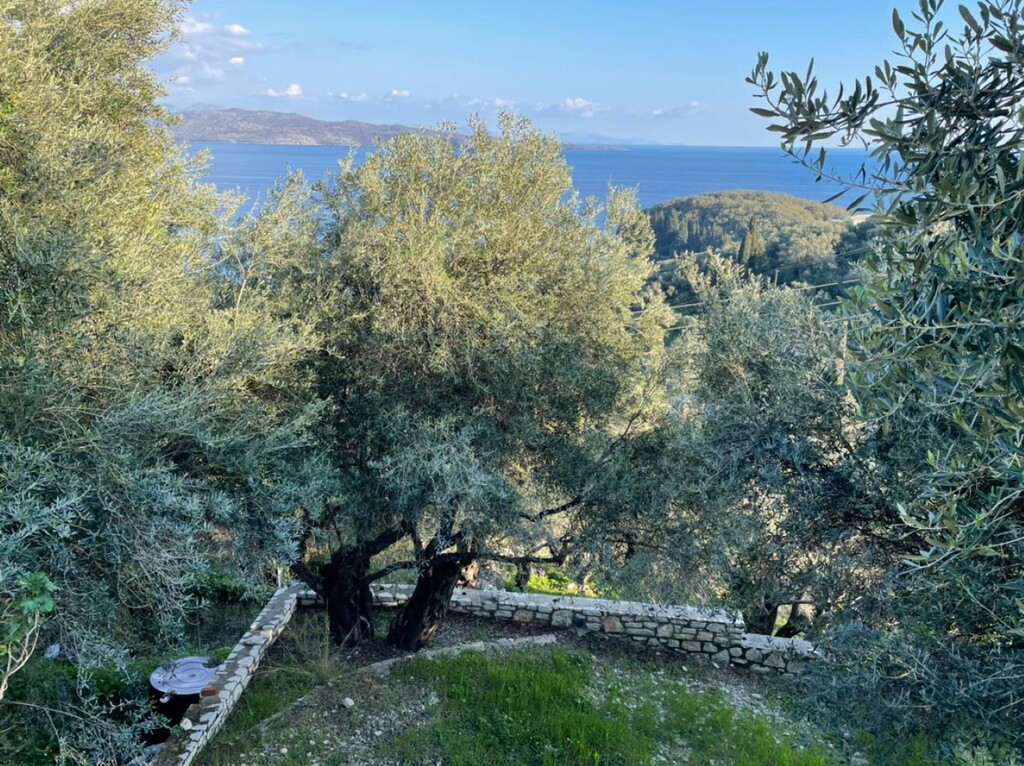 Земля на Корфу, Греция, 5 000 м² - фото 5