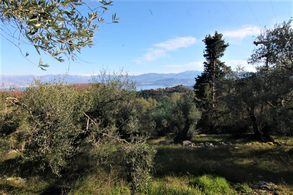 Земля на Корфу, Греция, 6 000 м² - фото 5