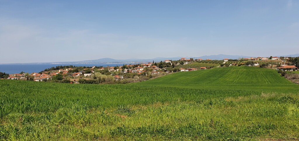 Земля на Кассандре, Греция, 10 500 м² - фото 5