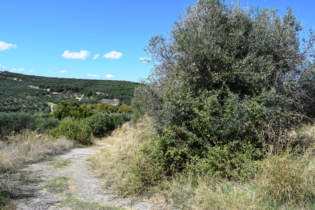 Земля в Ираклионе, Греция, 2 010 м² - фото 5